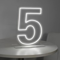 Liyuneon Number 5 Neon Sign For Birthday 1654 Cool White Usb Battery Powered Led Neon Sign For Party Wedding Anniversary Dec