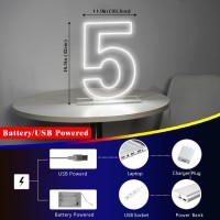 Liyuneon Number 5 Neon Sign For Birthday 1654 Cool White Usb Battery Powered Led Neon Sign For Party Wedding Anniversary Dec