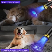 Uv Flashlight Rechargeable 365Nm Black Light For Pet Urine Detection Usb C Portable Blacklight Mini Powerful Woods Lamp Led U