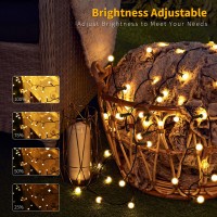 Brizled Led String Lights 66Ft 200 Led Warm White Berry String Lights 8 Modes Christmas Lights With Remote Globe String Light