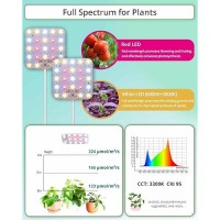 Dommia Grow Light Dimmable Full Spectrum Plant Grow Light With Optical Lens 3300K Warmwhite Grow Lights For Shelves With 612