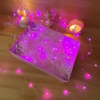 Etinga 10 Pack Fairy Lights Battery Operated String Lights 10 Led On 33Ft Silvery Copper Wirefor Flowers Gift Box Wedding Par