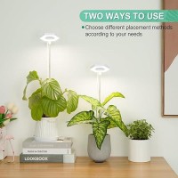 Foxgarden Plant Light 42Leds Grow Lights For Indoor Plants Full Spectrum Desk Growing Lamp With Detachable Base Height Adjust