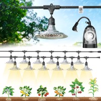 Everygrow Outdoor Grow Lights With Timer Full Spectrum Greenhouse Grow Lights With Timer Ip65 Waterproof String Grow Light Out