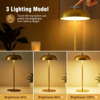 Ejiaxin Cordless Table Lamp Rechargeable Battery Operated Adjustable Height Led Desk Lamp 3 Way Dimmable Touch Nightstand Read