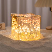 Tulip Night Light Led Decorative Nights Lamp For Bedroom Handmade Diy Magic Cube Tulips Flower Table Lamp And Mirror 2 In 1 21 F