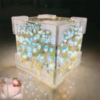 Diy Tulip Cube Mirror Lamp, 2024 New 16/20 Flower Tulip Lamp, Handmade Diy Tulip Flower Magic Cube Mirror Night Light For Bedroom, Creative Gift For Teen Girls,Couple,Friends, Children (Blue, 21)