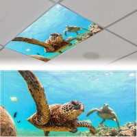 2 Pack Fluorescent Light Cover For Ceiling Light Classroomsea Turtle Magnetic Light Cover Fluorescent Light Shade Panel Decora