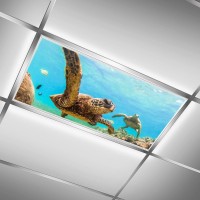 2 Pack Fluorescent Light Cover For Ceiling Light Classroomsea Turtle Magnetic Light Cover Fluorescent Light Shade Panel Decora