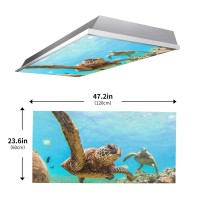 2 Pack Fluorescent Light Cover For Ceiling Light Classroomsea Turtle Magnetic Light Cover Fluorescent Light Shade Panel Decora