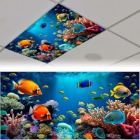 2 Pack Fluorescent Light Cover For Ceiling Light Classroomabyssal Fish Magnetic Light Cover Fluorescent Light Shade Panel Deco