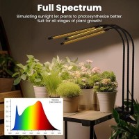 Bseah Plant Grow Light For Indoor Plants Full Spectrum Indoor Grow Light 10Level Dimmable And Auto On Off Timer