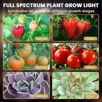 Bseah Plant Grow Light For Indoor Plants Full Spectrum Indoor Grow Light 10Level Dimmable And Auto On Off Timer