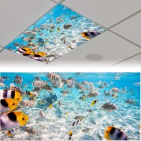 Sunnyhut 2 Pack Fluorescent Light Cover For Ceiling Light Shoals Of Fish Magnetic Light Covers Classroom Light Filters Drop Fl