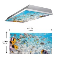 Sunnyhut 2 Pack Fluorescent Light Cover For Ceiling Light Shoals Of Fish Magnetic Light Covers Classroom Light Filters Drop Fl