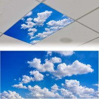 Sunnyhut 2 Pack Fluorescent Light Cover For Ceiling Light White Clouds Blue Sky Magnetic Light Covers Classroom Light Filters