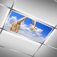 2 Pack Fluorescent Light Cover For Ceiling Light Classroom Funnu Giraffe Magnetic Light Cover Fluorescent Light Shade Panel De