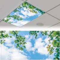 2Pcs Fluorescent Light Covers For Classroom Ceiling Lights Magnetic Light Covers Fluorescent Light Filters For School Home Offic