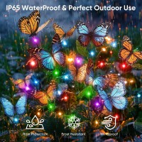 Solar Lights Outdoor Garden Decor 2 Pack Of 34 Butterfly Solar Garden Lights With Colorful Led Bulbs Ip65 Waterproof Solar Lig