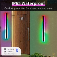 Daoseolo 2 Pack Outdoor Rgb Wall Sconce 236Inch Modern Led Light Fixture Ip65 Waterproof 10 Colors 5 Modes Dimmable With R