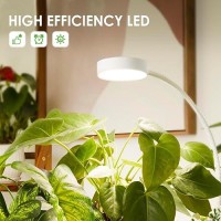 Lordem Small Pot Clip Grow Light Full Spectrum Led Plant Grow Lamp For Indoor Growing Auto Onoff Timer 4812H Plant Light W