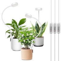 Lordem Small Pot Clip Grow Light Full Spectrum Led Plant Grow Lamp For Indoor Growing Auto Onoff Timer 4812H Plant Light W