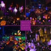 6Pack Total 48Led Purple And Orange Solar Halloween Lights Outdoor Solar Garden Lights