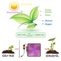 Fyeme Grow Light 225 Leds Plant Lamp Led Full Spectrum Grow Lights With 4 Hooks For Plants Vegetables Flowers (2 Pieces Red Blue White Orange)