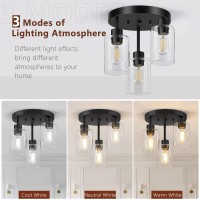 Feanron Farmhouse Flush Mount Ceiling Light Black 3Light Hallway Light Fixtures Ceiling With Clear Glass Shades Light Fixture