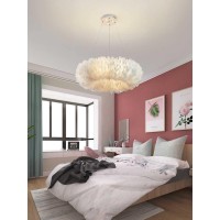 Modern Ring Three-Color Light Changing Feather Chandelier With Spotlight,Creative Donut White Feather Shape Pendant Light Suitable For Baby Bedroom Living Room Aisle Hotel (Color : 27In)