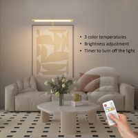 Coinmit Picture Lights For Paintings Plug In 16 Adjustable Led Gold Picture Light Art Light Remote Control Gallery Painting