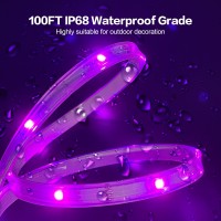 Wedeesun 100Ft Outdoor Led Strip Lights Waterproof Ip68 Outdoor Led Lights Music Sync Rgb Color Changing Led Light Strip With Bl