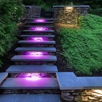 Leonlite 8Pack 4 Inch 1W Rgb Hardscape Lighting Low Voltage Led Retaining Wall Lights Color Changing Led Landscape Lighting