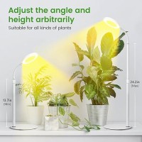 Grow Lights For Indoor Plants Red Blue Yellow Full Spectrum Desktop Small Led Halo Plant Growing Lamps With Stand Automatic Tim