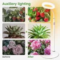 Grow Lights For Indoor Plants Red Blue Yellow Full Spectrum Desktop Small Led Halo Plant Growing Lamps With Stand Automatic Tim