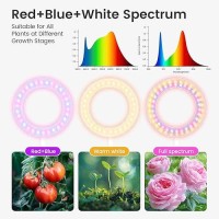 Grow Lights For Indoor Plants Red Blue Yellow Full Spectrum Desktop Small Led Halo Plant Growing Lamps With Stand Automatic Tim