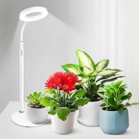 Grow Lights For Indoor Plants Red Blue Yellow Full Spectrum Desktop Small Led Halo Plant Growing Lamps With Stand Automatic Tim