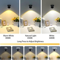 Picture Display Wall Lights Motion Sensor Picture Lamp Rechargeable Spotlight Painting Light With Remote Control For Bedroom Hallway Art Exhibitions (Color : Black, Size : 3 Pcs)