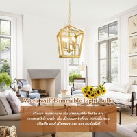 Gold Chandelier 4Light Farmhouse Pendant Light Fixture Adjustable Height Modern Dining Room Light Fixture Lantern Ceiling Ha