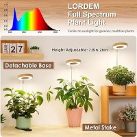 Lordem Bamboo Base Desktop Grow Light Led Plant Lamp With Full Spectrum 4 Adjustable Brightness Levels 4H8H12H Auto Timer F