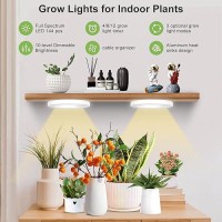 Aopeids 144 Led Grow Lights For Indoor Plants Full Spectrum 6500K Upgraded 3 Lighting Modes Plant Light With Auto Onoff Timer