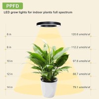 Aopeids 144 Led Grow Lights For Indoor Plants Full Spectrum 6500K Upgraded 3 Lighting Modes Plant Light With Auto Onoff Timer