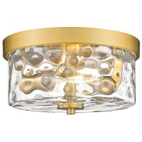 Emak Modern Brushed Gold Ceiling Light 2Light Ceiling Lights With Hammered Glass Shade 11 Inch Flush Mount Light Fixture For