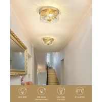 Emak Modern Brushed Gold Ceiling Light 2Light Ceiling Lights With Hammered Glass Shade 11 Inch Flush Mount Light Fixture For