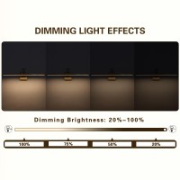 Pasoar Led Brass Hardwired Connection Gallery Picture Light For Paintings Gold Lighting Fixtures Dimmable Modern Led Picture Li