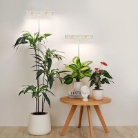 Lordem Grow Lights For Indoor Plants Full Spectrum Tall Plant Lights For Indoor Growing 65 Inch Height Adjustable Growing Lamp