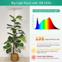 Lordem Grow Lights For Indoor Plants Full Spectrum Tall Plant Lights For Indoor Growing 65 Inch Height Adjustable Growing Lamp