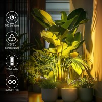 Wireless Led Spotlight Indoor With Remote Uplighting Indoor With Rechargeable Battery Operated 3Cct Picture Light With Timerd