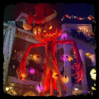 Halloween String Lights Outdoor 25Ft Led G40 Orange Purple Halloween Decorations Lights Outdoor With 27 Globe Waterproof Bulbs