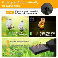 Kimhy Owl Solar Lights Outdoor Garden Owl Solar Light Waterproof Maintain Of 10 Hours Lighting Solar Lights Outdoor Owl For Ya